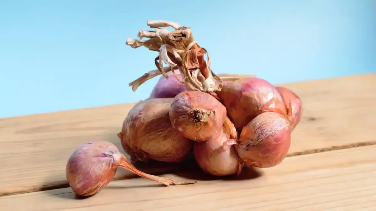Jangan Asal Masukkan Kulkas! Ini 13 Cara Menyimpan Bawang agar Tidak Cepat Rusak Menyimpan bawang dengan cara yang tepat dapat membantu mempertahankan kualitasnya lebih lama.